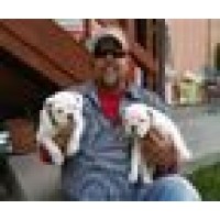 Van Allen Plumbing Logo