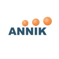 LiquidHub Analytics (Formerly Annik) Logo