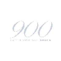 900 N Michigan Logo