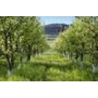 Referred Real Estate Logo