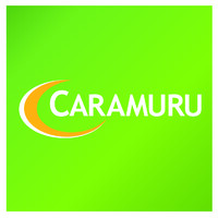 Caramuru Alimentos S.A. Logo