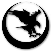 Nighthawk Custom Logo