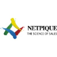 Netpique Logo