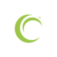 Chasse Consulting: Sales Strategies, Inc. Logo