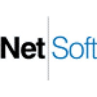 Netsoft Engineering Logo