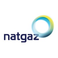 Natgaz Logo