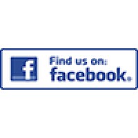 Pro Classic Painting Logo