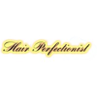 Hair Perfectionist Logo