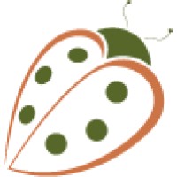 Ladybug Child Care Center, Inc. Logo
