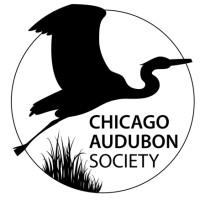 Chicago Audubon Society Logo
