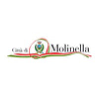 Comune Di Molinella Logo