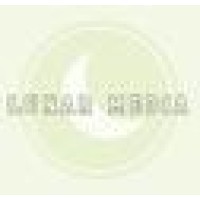 Lunar Graphics Logo