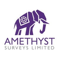 Amethyst Surveys Limited Logo