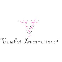 Vaishali International Logo