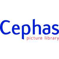 Cephas Picture Library Ltd Logo