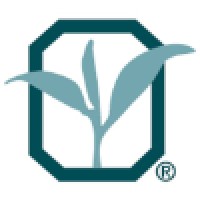 Southern Tea Logo