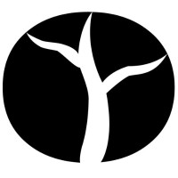 Aurora Innovations, Inc. Logo
