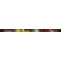 Langford Properties Logo