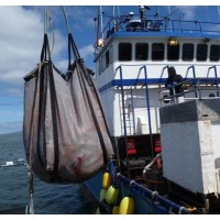 Seattle Tarp Co Inc Logo