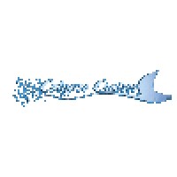 Calypso Cruises Logo