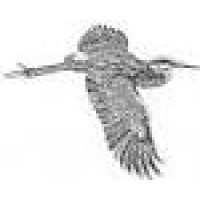 Blue Heron Massage Logo