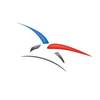 Armée de l’air et de l’espace Logo