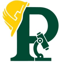 Pekron Consulting Logo