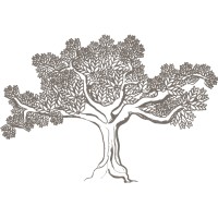 Innove Logo