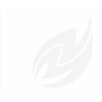 Palitri International ltd Logo