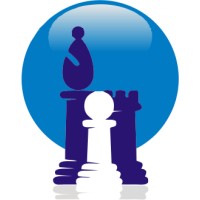 Strategic Enterprise Solutions, Inc. Logo