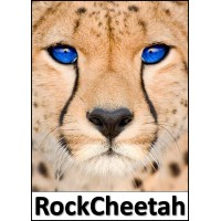 RockCheetah LLC Logo