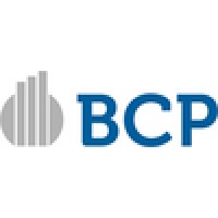 Bcp Investments Llc Logo