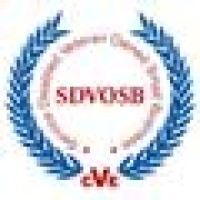 Team Fanok Logo