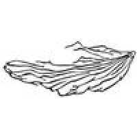 Marinelli Shellfish Logo