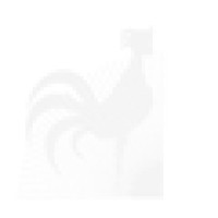 Sunrise Sound Studios Logo