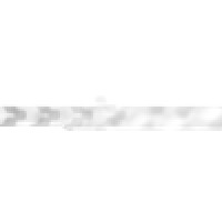 Capitol Electronic Reporting Logo