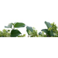 Outside Landscape Group Llc Logo
