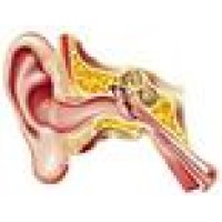 Hearing Solutions Of Arizona Logo