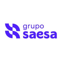 Grupo Saesa Logo