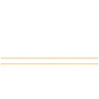 Willowbend Investment Logo