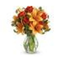 Nasa Flowers Logo