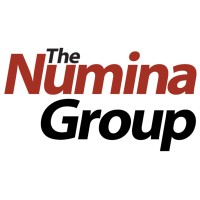 The Numina Group Logo