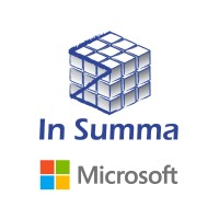 In Summa Data Solutions Logo
