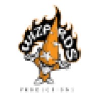 Wizards Productions Logo