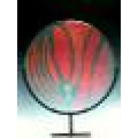 Desert Glasshopper Studio Logo