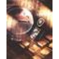 Integre Brokerage Logo