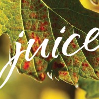 Juice Media Logo