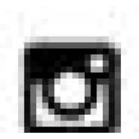 White Space Gallery Logo