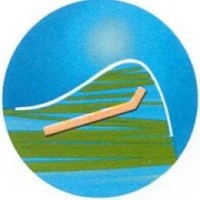 Lycée Régional du Coudon Logo