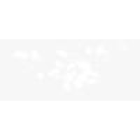 Coral Park Elementary Logo